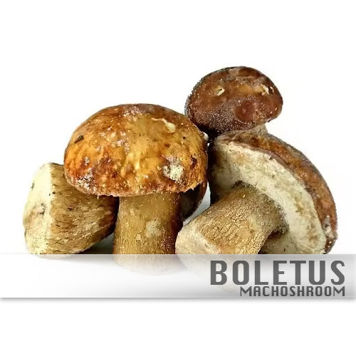 Boletus 100%Biologisch