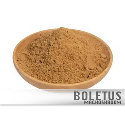 Boletus 100%Biologisch