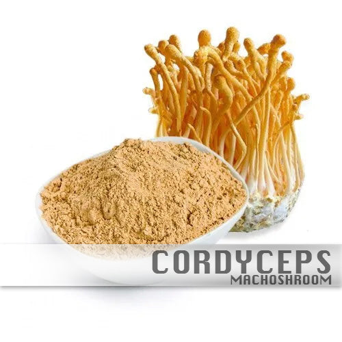 Cordyceps 100%Biologisch