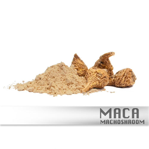 Maca 4:1 - 100%Biologisch