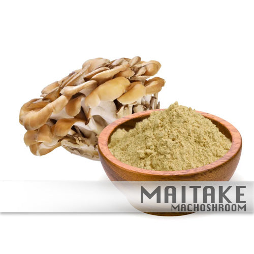 Maitake 100%Biologisch
