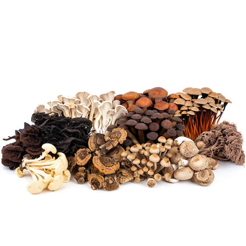(No) Coffee Cacao 100%Biologisch - 100gram