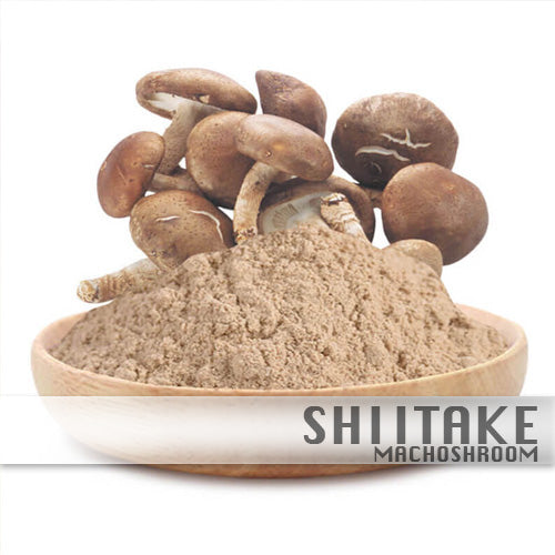 Shiitake 100%Biologisch