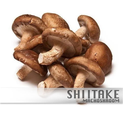 Shiitake 100%Biologisch