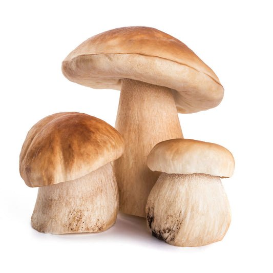 Revitaliseer je Keuken met Boletus - Puur en Krachtig! - 60gram Bio