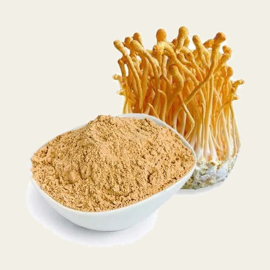 MachoShroom Cordyceps poeder en gedroogde paddenstoel
