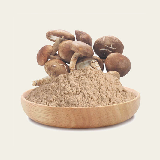 MachoShroom Shiitake poeder en gedroogde paddenstoel