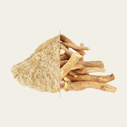 MachoShroom Ashwagandha poeder en wortel
