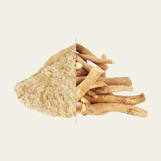 MachoShroom Ashwagandha poeder en wortel