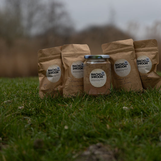 MachoShroom Testosteron Booster Pakket in de natuur