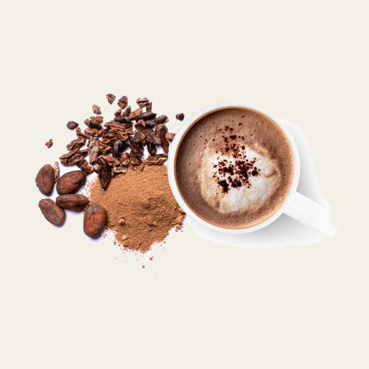 MachoShroom Hot Chocolate Chaga