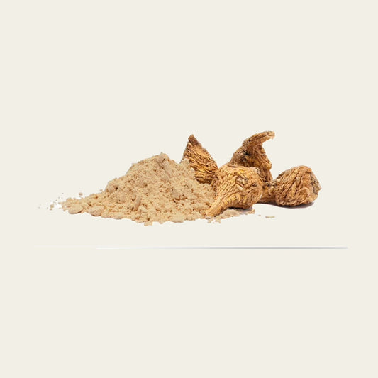 MachoShroom Maca poeder en wortel