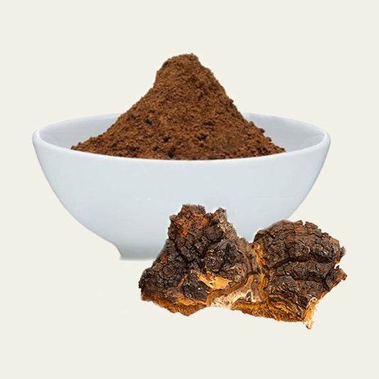MachoShroom Chaga poeder en gedroogde paddenstoel