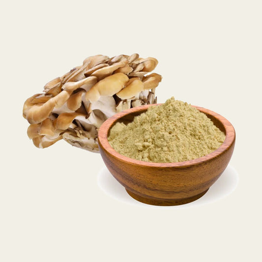 MachoShroom Maitake poeder en gedroogde paddenstoel
